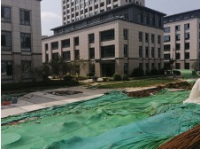 1595579297535808.jpg 20200724图片 3.jpg