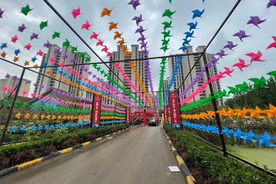 1619431955806662.jpg 2.jpg