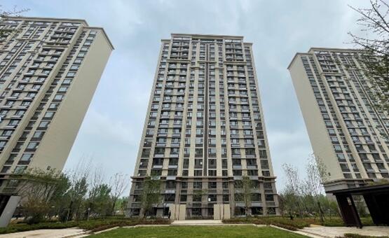 1619432047831854.jpg 6.jpg